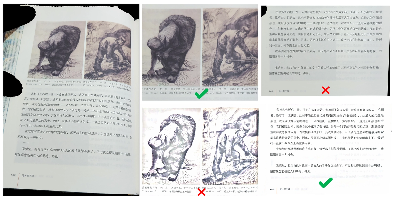 对图像和文本的不同处理方法与对比