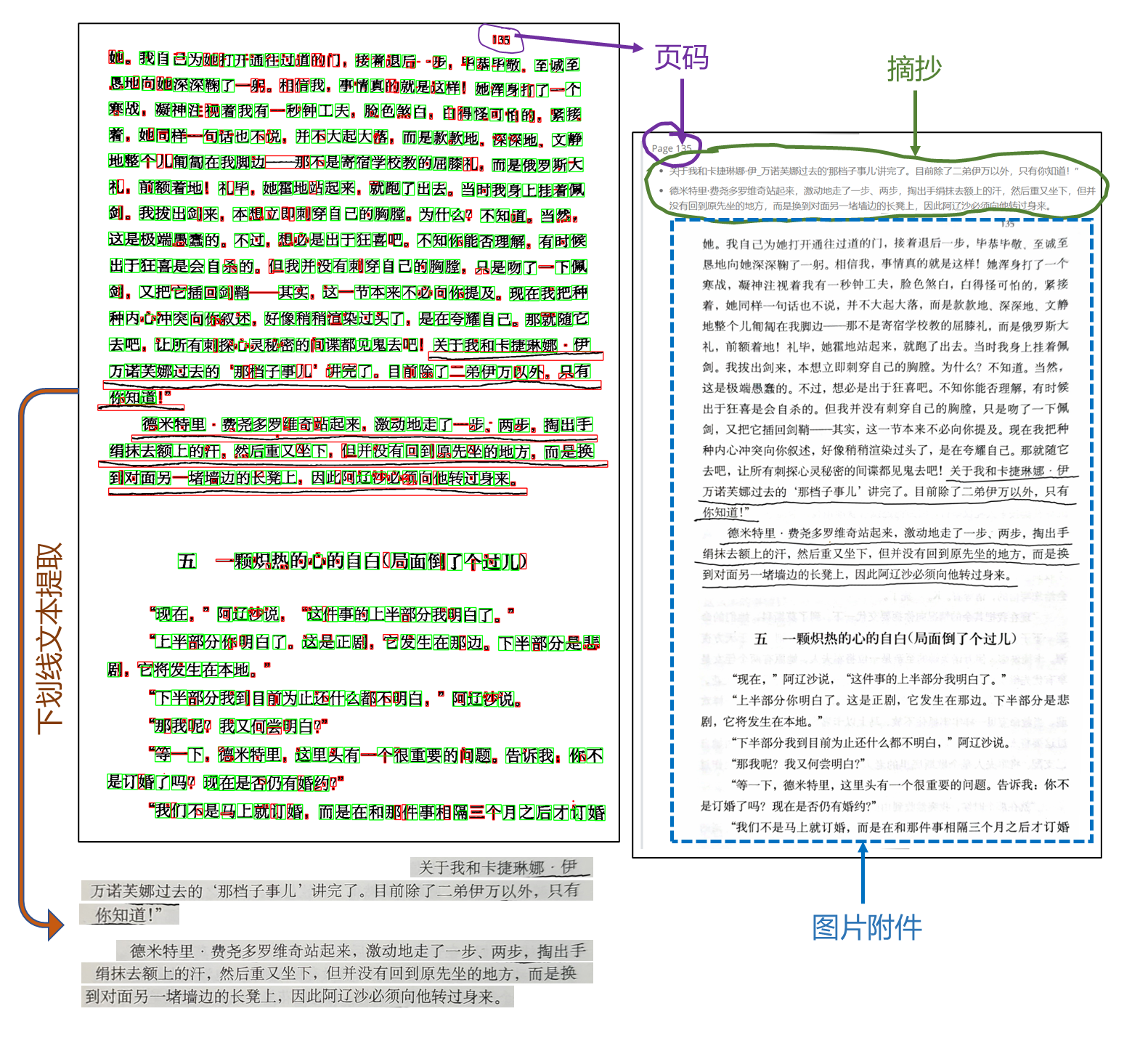 文本提取（左）；Markdown 格式摘录