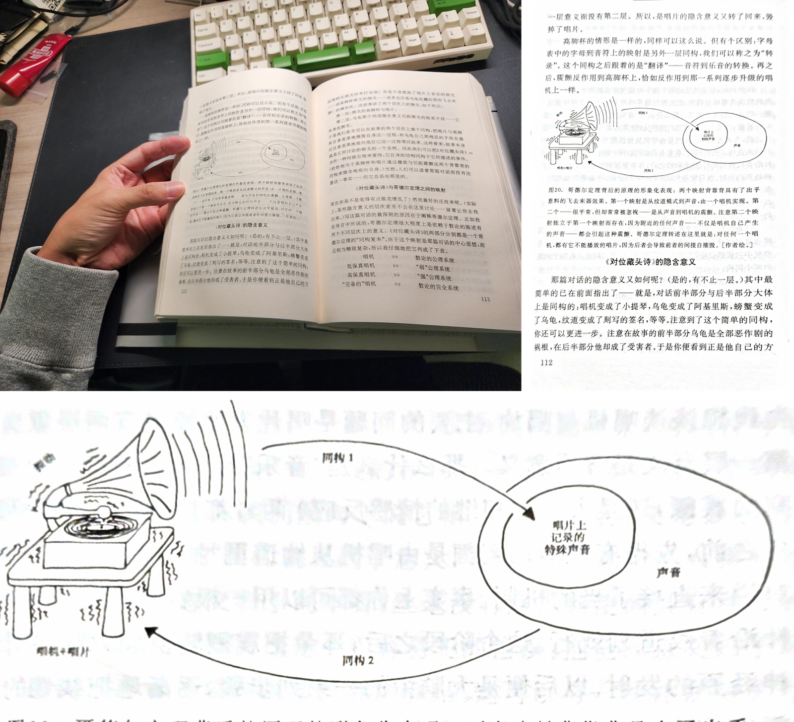 手指图片提取